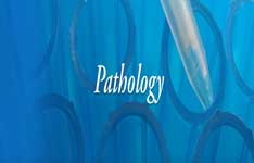 KVS Hi-Tech.Scan Centre
