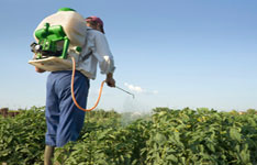 Modern Plant Protetion Centre