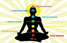 Prajapita Brahmakumaris Iswariya Viswavidalya
