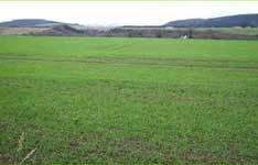 Muhar Properties Advisor
