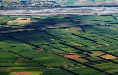 Prince Real Estate Agent
