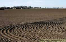 Ralhan Property Consultants
