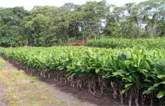 Sunny Property Advisor
