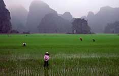 Vishal Property Advisor
