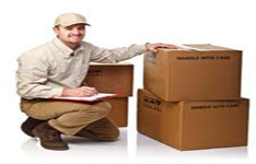 Trans Continental Express
